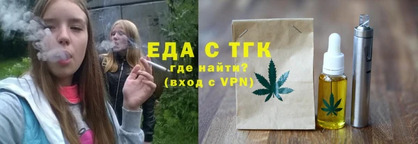 хмурый Аркадак