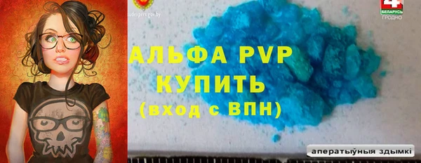 хмурый Аркадак